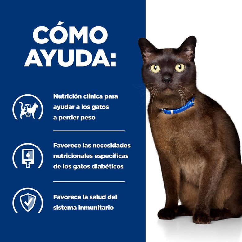 Hill's Prescription Diet Weigth Management lata para gatos, , large image number null